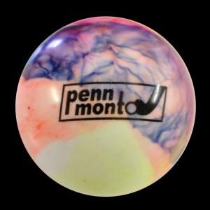 Penn Monto Practice Balls